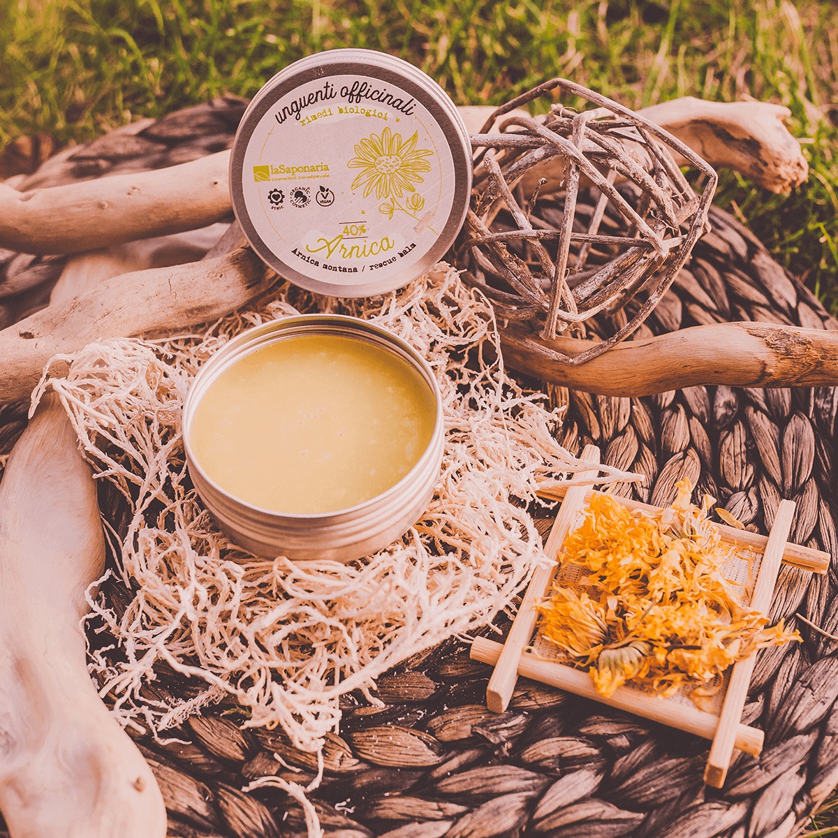 Unguento all'Arnica